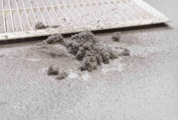 Best Affordable Air Duct Cleaning  in Willow Grove, TX