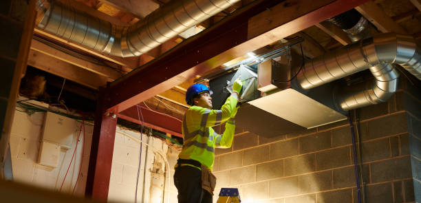 Best Ductwork Cleaning Services  in Willow Grove, TX