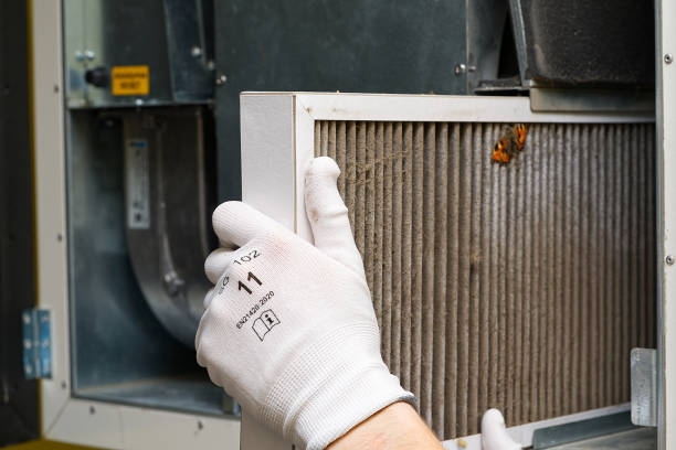 Best Affordable HVAC Duct Cleaning  in Willow Grove, TX