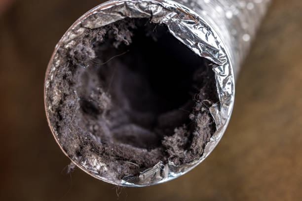 Best Air Duct Cleaning Near Me  in Willow Grove, TX